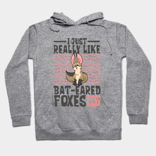 I just really love Bat-eared Foxes - Bat-eared Fox Hoodie